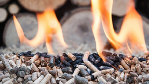 Biomass Boilers